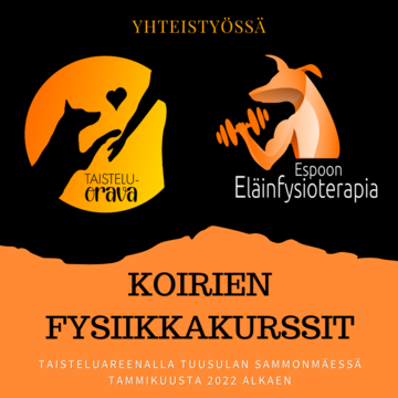 Fysiikkavalmennus