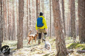 Dogtrekking